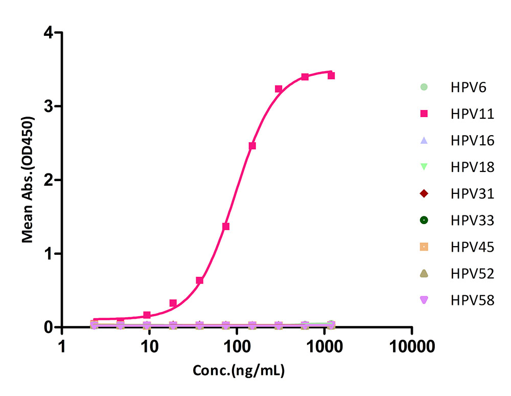 L1 TYPICAL DATA