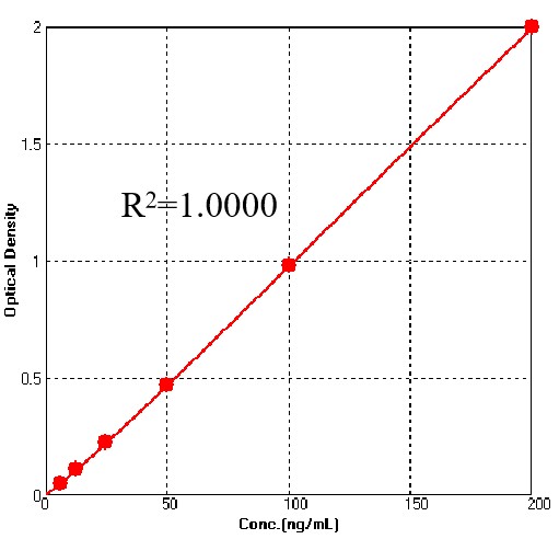 L1 TYPICAL DATA