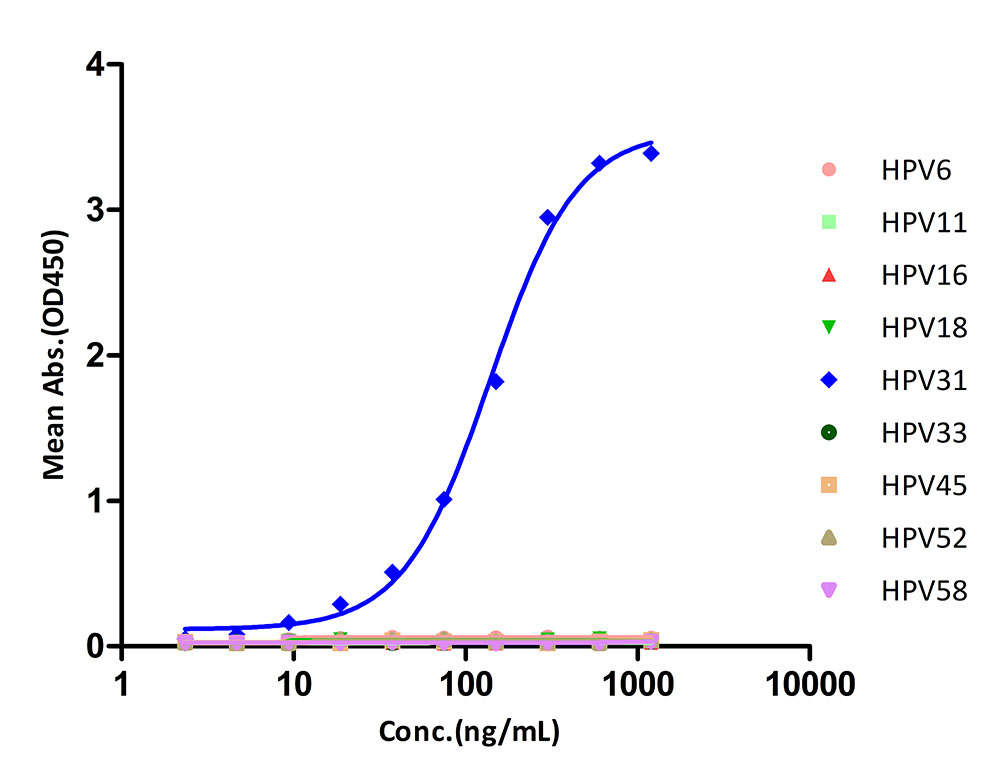 L1 TYPICAL DATA