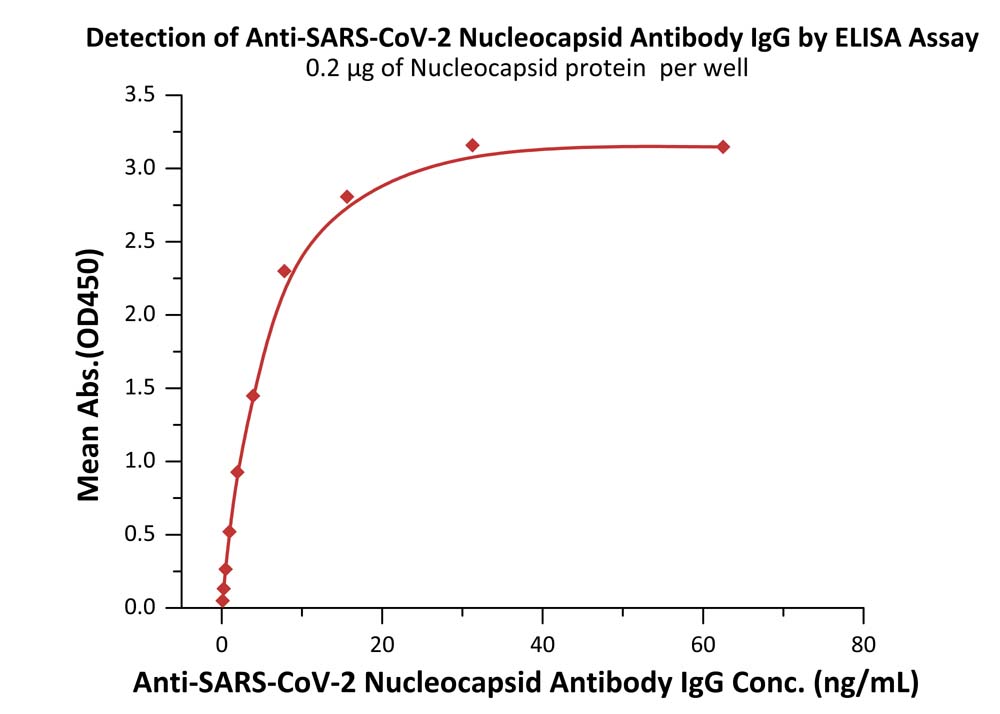 Nucleocapsid protein TYPICAL DATA