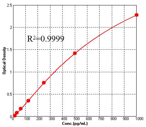 SCF TYPICAL DATA