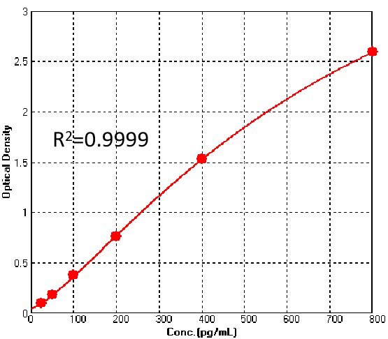 Nuclease TYPICAL DATA