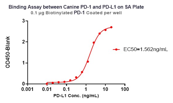 Streptavidin TYPICAL DATA