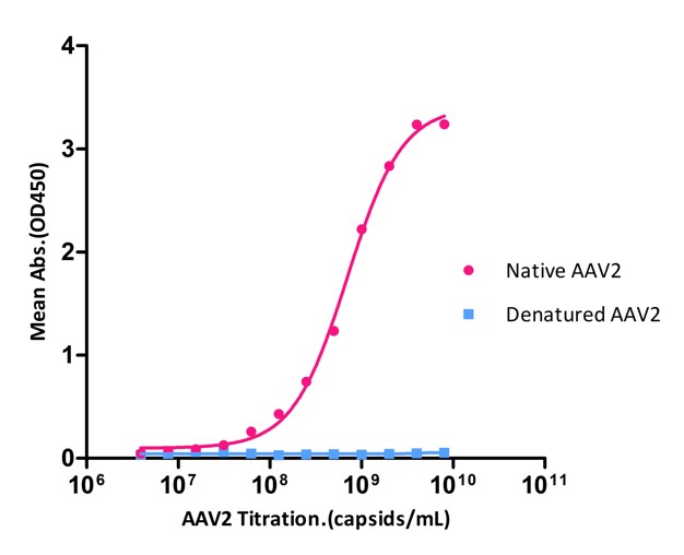 AAV2 SPECIFICITY