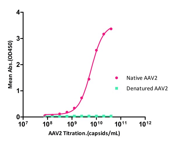 AAV2 SPECIFICITY