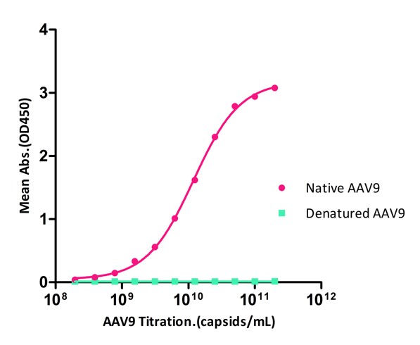 AAV9 SPECIFICITY