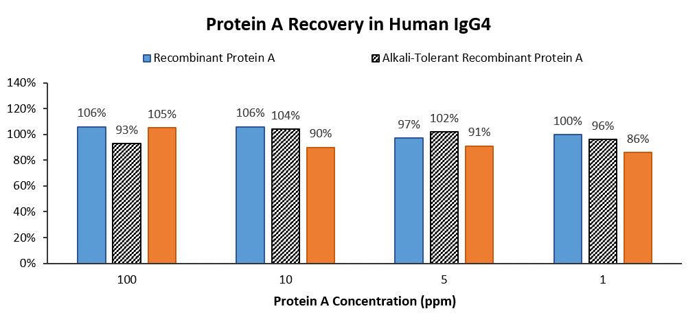 protein A (SuRe) RECOVERY