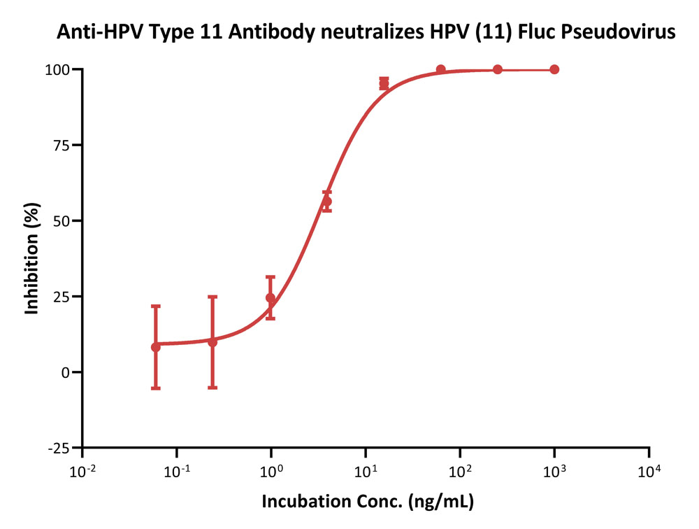 Capsid protein L1 & L2/L1 & L2 (HPV) VIRUS