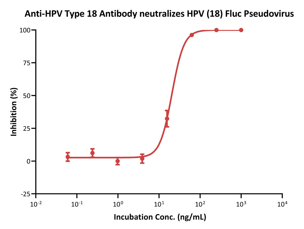 Capsid protein L1 & L2/L1 & L2 (HPV) VIRUS