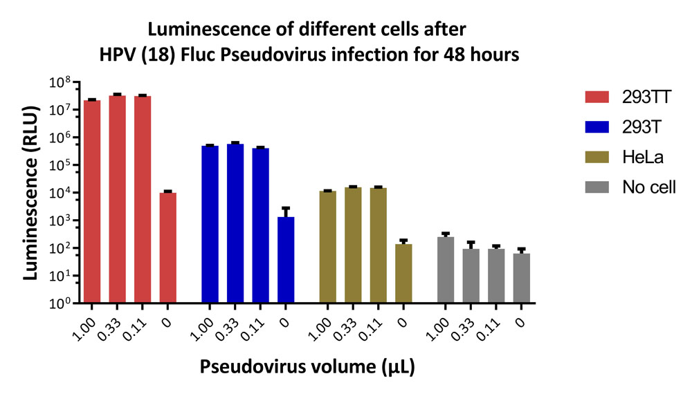 Capsid protein L1 & L2/L1 & L2 (HPV) VIRUS