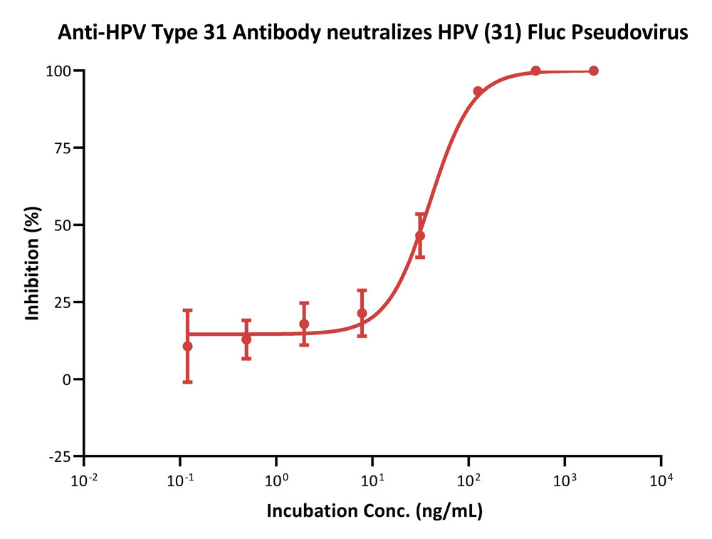 Capsid protein L1 & L2/L1 & L2 (HPV) VIRUS