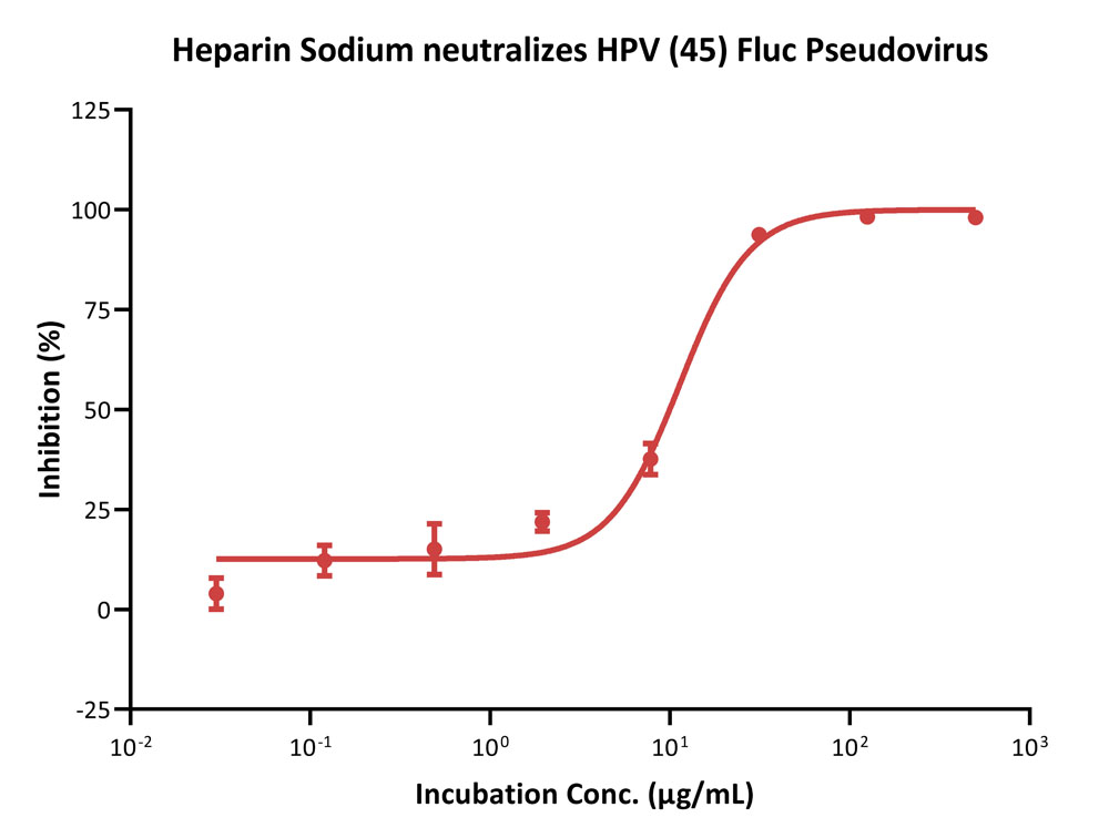 Capsid protein L1 & L2/L1 & L2 (HPV) VIRUS