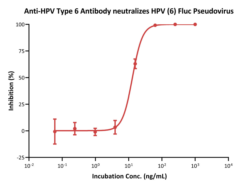 Capsid protein L1 & L2/L1 & L2 (HPV) VIRUS