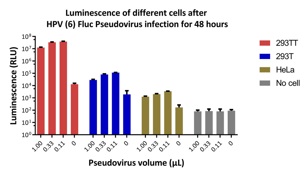 Capsid protein L1 & L2/L1 & L2 (HPV) VIRUS