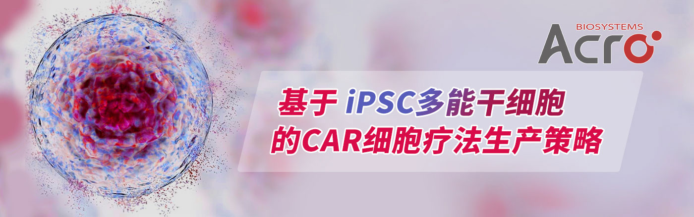 iPSC多能干细胞分化培养生长因子