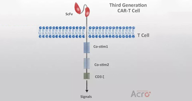 【前沿进展】CAR-T的春天就要来了，你准备好了吗？
