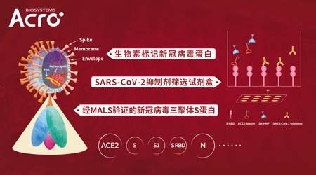 【新冠专栏】新冠S蛋白不可忽视的糖基化修饰问题