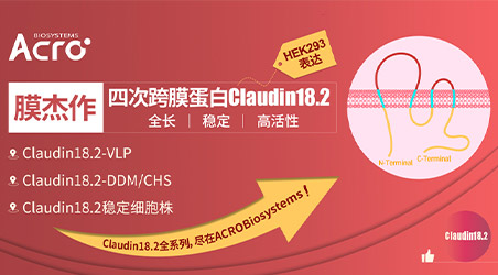 【靶点聚焦】靶向Claudin18.2势不可挡， 单抗、双抗、ADC、CAR-T、创新领域全面布局