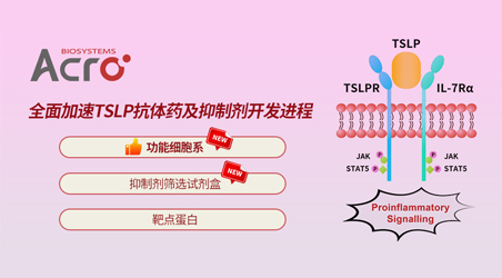 【靶点聚焦】哮喘治疗新希望，TSLP相关药物细胞功能验证如何实现？