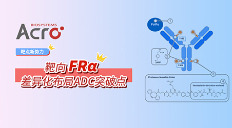 【靶点聚焦】【靶点新势力】ADC赛道拥挤，靶向FRα或是避免内卷的下一个选择