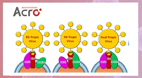 【靶点聚焦】【靶点新势力】趋化因子受体CCR5，抗 HIV的优秀靶点