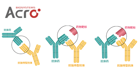 【技术干货】选对抗独特型抗体开发策略，抢占PK/ADA assay先机