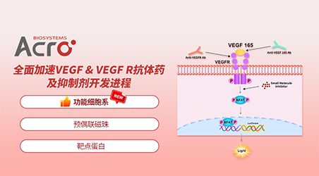 【靶点聚焦】VEGF，横跨癌症、眼科、心血管疾病等多种疾病的泛用性靶点