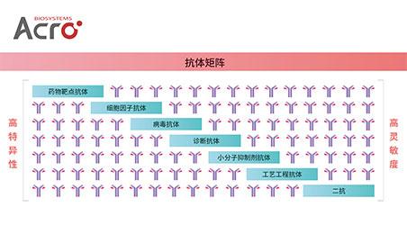 【靶点聚焦】【抗体矩阵】新品！两款TNF-α抗体