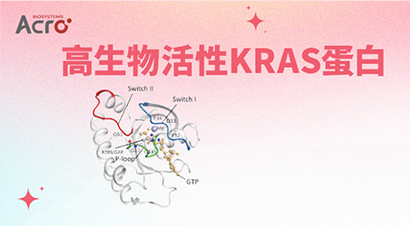 【靶点聚焦】且看“不可成药”KRAS如何披荆斩棘