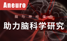 Aneuro，脑与神经蛋白