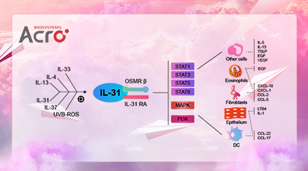【靶点新势力】炎症导向型IL-31，前路漫漫亦灿灿