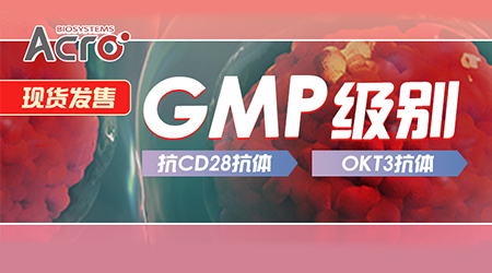 【新品来袭】GMP 级别抗CD28抗体 | OKT3抗体！