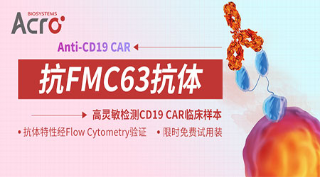 抗FMC63抗体—赋能CD19 CAR细胞药物PK研究