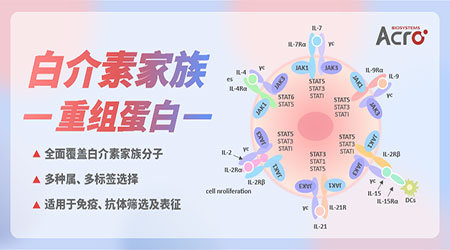 【靶点聚焦】白介素家族欢聚一堂，2023新征程再出发