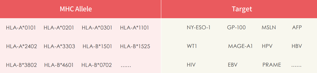 热门MHC定制亚型和靶点