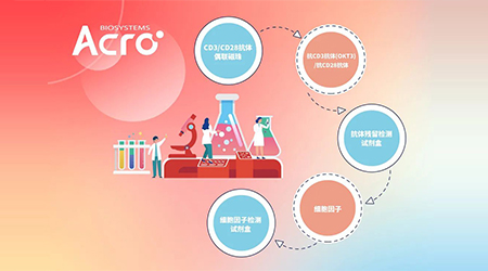 【特别推荐】T细胞激活培养解决方案