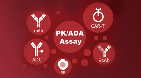【ACRO服务】定制化免疫原性检测关键试剂助力您的ADC药物一路狂飙