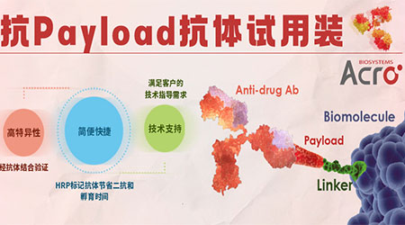 【试用装申请】抗Payload抗体试用装活动开放啦，点击申请！