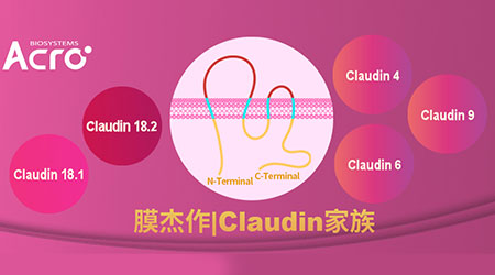 现货发售 | Claudin家族再添新成员：全长Claudin 4蛋白