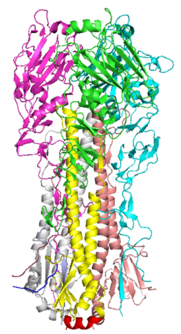 Hemagglutinin(HA)Trimer