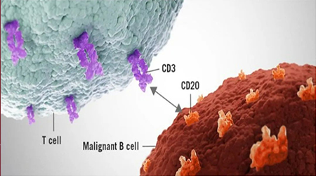 【双抗大有可为】CD3/CD20老将联手再掀新浪潮