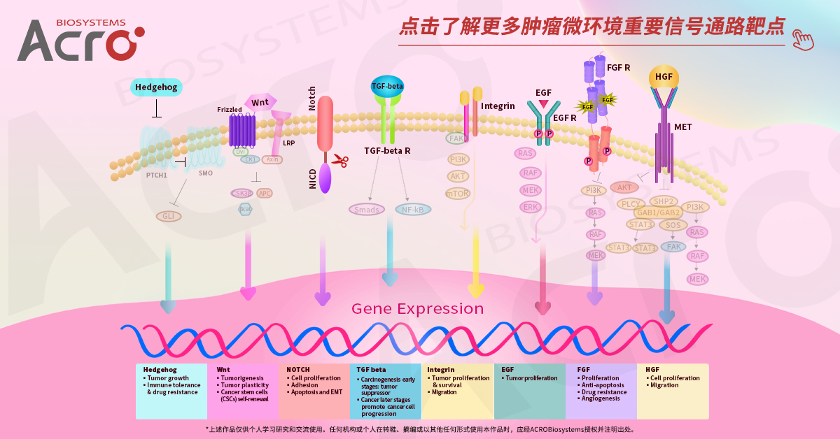 ＞＞点击图片，欢迎了解更多肿瘤微环境信号通路靶点蛋白产品信息