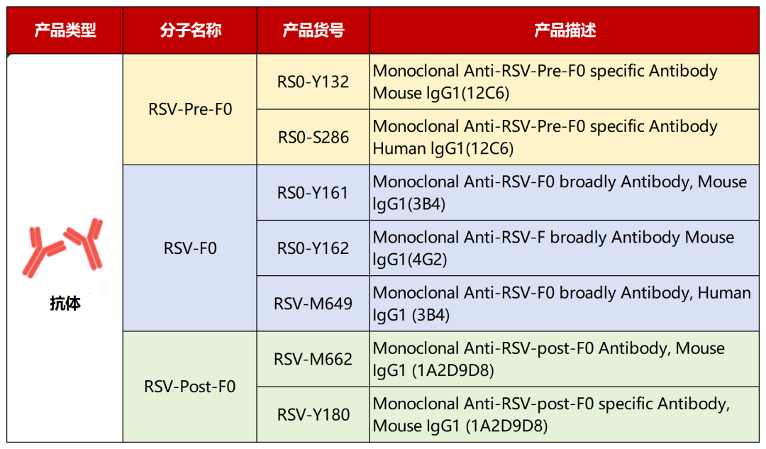 RSV抗体