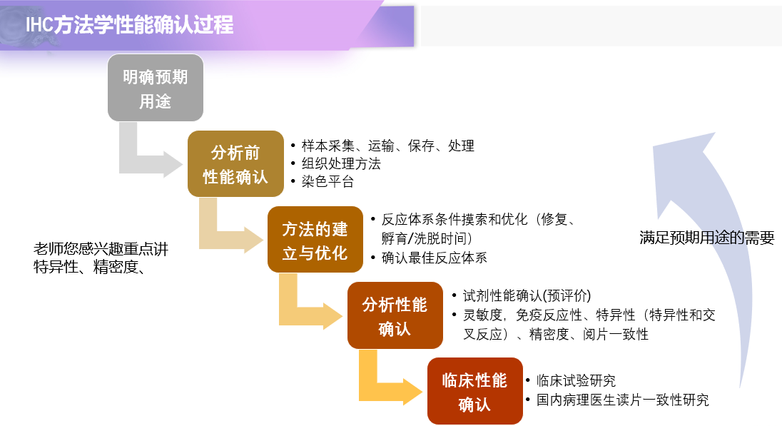 IHC方法学性能确认过程