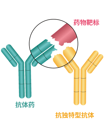 药物靶标复合型