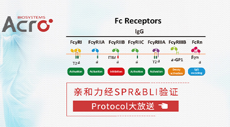 【服务1+1】抗体药亲和力评估和功能验证统统搞定