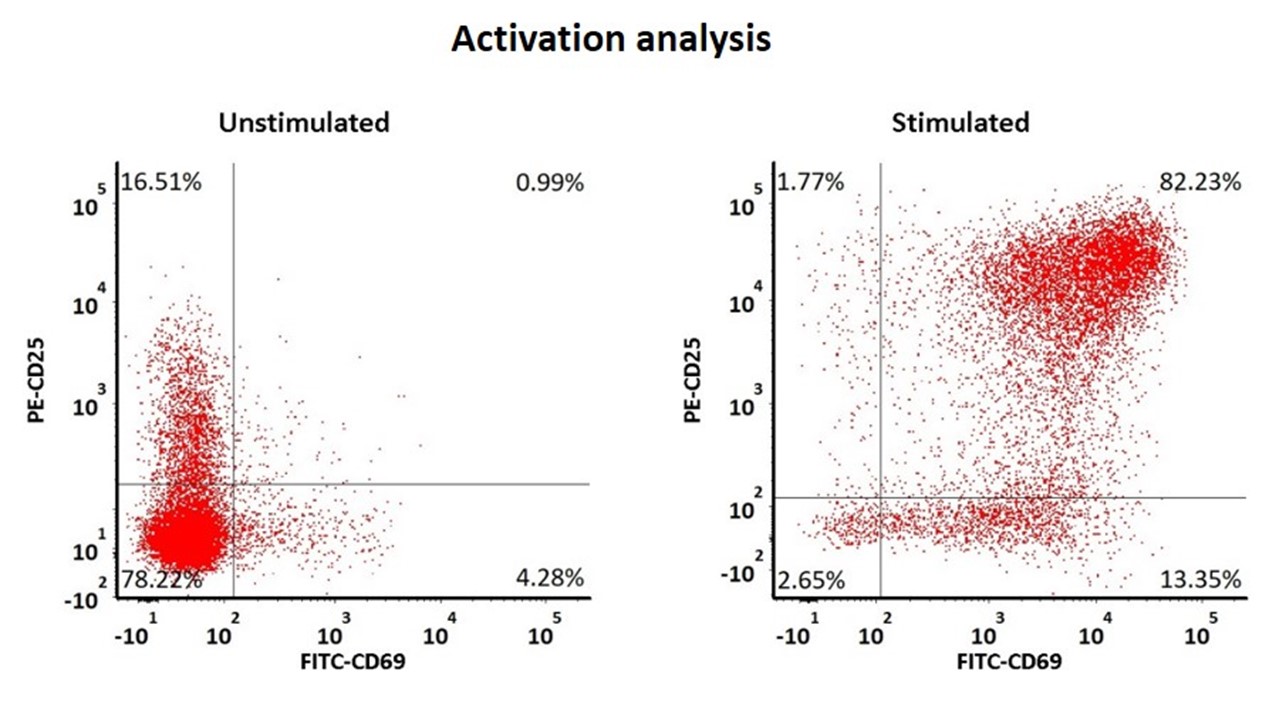 The human T cells were stimulated with GMP ActiveMax