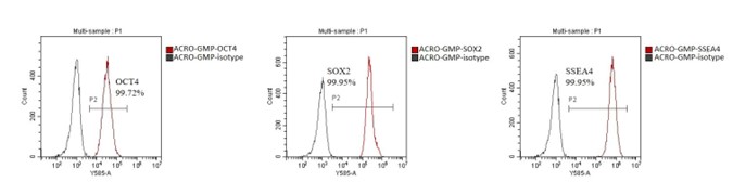 GMP Human Laminin 521 Protein