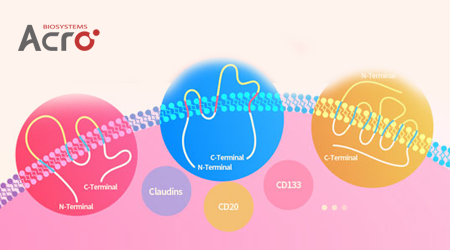 【新品速递】“膜杰作”新品 | 全长CD63蛋白