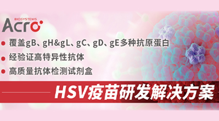 【深度解析】单纯疱疹病毒（HSV）入侵细胞机制 & 疫苗研发难点及突破